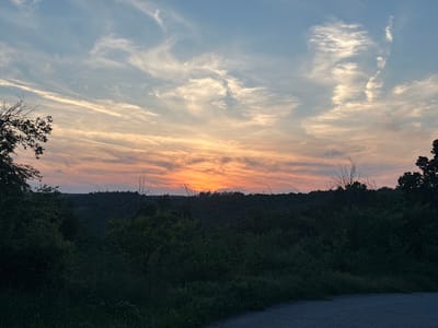 The image displays a panoramic landscape at sunset in Pisanets, Bulgaria. The sky transitions from a pale blue at the top, through light yellow and orange hues in the middle, to a vibrant fiery orange and red along the horizon. Numerous wispy cirrus clouds are visible, along with two distinct white aircraft contrails, one prominently bisecting the mid-left sky. The sun is setting just below the distant, undulating treeline, which forms a dark silhouette against the brightly colored horizon. The midground and foreground are dominated by a dense growth of dark green foliage, including bushes, trees, and tall grasses. On the far left, the bare branches of a deciduous tree extend upwards into the sky. A dark asphalt or gravel road, exhibiting faint cracks, curves into the bottom right corner of the frame. No people or human activity are visible.