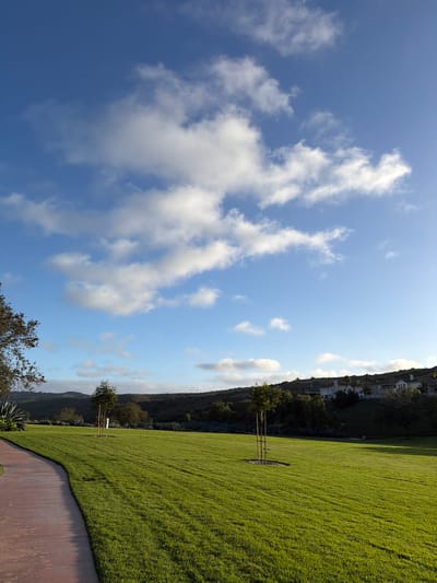 This image depicts a well-maintained park in Aliso Viejo, California. A curved, reddish-brown paved walkway borders the left side of the frame, leading into a vast expanse of vibrant green grass. The lawn is meticulously cut and appears to be bathed in the warm light of late afternoon or early morning sun.
In the mid-ground, a young, slender tree stands centered in the grassy area, its thin trunk supported by two stakes and a circular mulch bed at its base. Further back, a larger, mature tree with a fuller canopy is visible to the left of the smaller tree. In the distance, a line of houses with light-colored walls and dark roofs are nestled on a gentle, tree-covered slope. The sky above is a brilliant blue, punctuated by scattered, fluffy white clouds, some of which are illuminated by the sun. The overall scene conveys a sense of tranquility and suburban order.