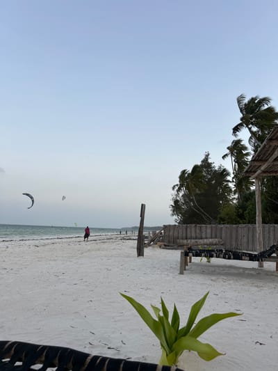 The image captures a wide, serene view of a tropical beach in Kiwengwa, Tanzania. The scene is presented sideways, but when viewed correctly (rotated 90 degrees counter-clockwise), it shows a light blue-grey sky above a sandy beach meeting the ocean.
On the left side of the beach, lush palm trees with their fronds extending into the sky provide shade. Below them, several rustic wooden structures with thatched roofs, likely beach huts or shelters, are lined along the shore. Other green foliage and wooden posts are also visible on the sand.
The expansive beach features soft, white sand, with a distinct line of dark seaweed or debris where it meets the tranquil, light blue-green ocean. In the bottom right foreground, a vibrant green plant with broad leaves is prominently featured, along with a partial view of a dark, possibly woven, chair or lounge.
In the middle ground, a person dressed in a red top is walking along the wet sand near the water's edge. Further out on the water, two kitesurfing kites are visible against the sky, indicating recreational activity. One dark, crescent-shaped kite is closer to the viewer, while another lighter kite is in the distance. The soft, muted lighting suggests either early morning, late afternoon, or an overcast day, contributing to a calm and peaceful ambiance. No text is visible in the image.