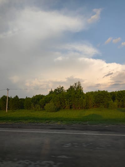 The image shows a roadside view in a location possibly near Zalesnaya, Russia, though this cannot be definitively confirmed. A weathered asphalt road dominates the foreground, reflecting light. Beyond the road, a grassy verge transitions into a dense line of trees and shrubs, forming a wooded border. Overhead, a sky filled with predominantly white, voluminous clouds is visible. These clouds appear illuminated by a setting sun, casting a warm, golden hue on parts of the cloudscape. A utility pole with power lines stretches across the frame on the left side. There is no evidence of human presence.