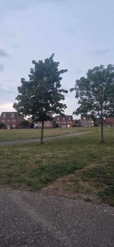 The image depicts a suburban residential area in South Holland, United Kingdom, under a cloudy sky at dusk. The foreground is dominated by a paved path that curves through a dry, grassy field. Two mature trees stand prominently in the middle ground, their dark green foliage contrasting with the muted tones of the landscape. Beyond the field, a row of modern red-brick houses is visible, several with illuminated windows suggesting habitation. A white car is parked in front of one of the houses, and further to the right, a set of goalposts indicates a playing field. The overall atmosphere is quiet and peaceful, characteristic of a residential neighborhood at the end of the day.