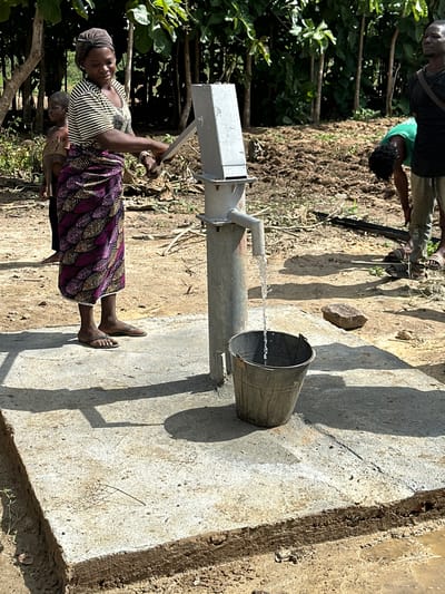 In Afogo, Nigeria, a woman wearing a striped shirt and a patterned skirt pumps water from a well into a bucket. A child stands behind her, and two men are visible in the background. The scene depicts a rural setting with trees and dry earth.