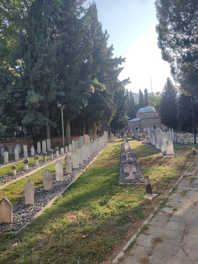 This image depicts a serene cemetery in Osmangazi, Turkey. The foreground is dominated by rows of headstones, some carved with Arabic script, suggesting a historical Islamic burial ground. These headstones, made of light-colored stone, are arranged in neat lines, interspersed with gravel and grass. The sun casts long shadows, indicating it is either early morning or late afternoon. The atmosphere is peaceful and quiet, with no people visible in the frame.

In the background, tall, mature cypress trees form a natural border, their dark green foliage contrasting with the bright, clear sky. Beyond the trees, a modest building with a domed roof and arched windows is visible, possibly a mosque or a mausoleum, adding to the cultural and historical significance of the location. The sunlight filters through the trees, creating a dappled effect on the ground and the headstones, enhancing the tranquil ambiance. The presence of paved pathways suggests the cemetery is well-maintained and accessible. The overall scene evokes a sense of reverence and contemplation, with the natural elements and architectural features contributing to a timeless and solemn setting.