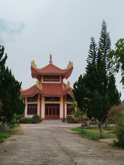 The image depicts a temple complex in Đại Ninh, Vietnam. The main structure has a red-tiled roof with multiple tiers and golden decorative elements. The building's facade is painted in light pink with dark brown window and door frames. A sign with Vietnamese text "TINH XA NGOC NINH" is visible above the entrance. A concrete path leads to the temple, flanked by trees and shrubbery. The sky is overcast.