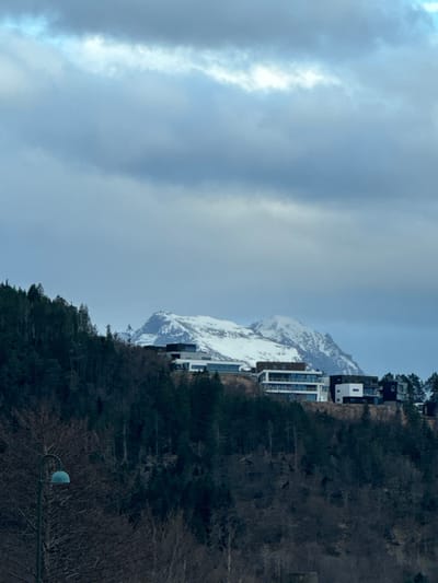 The image displays a panoramic view of a mountainous and forested landscape in Ålesund, Norway, under an overcast sky. The upper approximately two-fifths of the frame are occupied by a dense cloud cover, characterized by various shades of light grey and blue-grey, with a horizontal lighter band visible towards the top.

In the background, a range of snow-capped mountains rises prominently. Below these peaks, a steep, densely vegetated hill is visible, primarily covered by dark green coniferous trees. Interspersed among these are some bare deciduous trees, indicative of a colder season. Partway up this forested hill, a cluster of modern multi-story residential buildings is situated on a cleared section. These structures feature contemporary architecture with flat roofs, large windows, and facades in contrasting dark (black/grey) and light (white) tones.

The immediate foreground consists of a darker, more obscured area of trees, mostly bare. On the lower left side, a solitary street lamp is visible, comprising a dark green pole and a rounded, light blue-green fixture. No individuals, activities, or direct interactions are present within the captured scene.