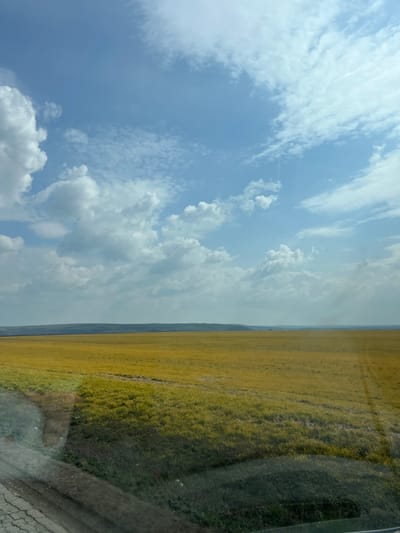 The image depicts an expansive rural landscape located in the vicinity of Sofronievo, Bulgaria. The scene is dominated by a vast, flat to gently undulating field of yellowish-green vegetation, likely crops or dry grass, extending from the foreground to a distant horizon line. In the far distance, a dark, low-lying band suggests hills or elevated terrain. The sky occupies approximately the upper two-thirds of the frame, displaying a light blue hue with numerous scattered white clouds, ranging from small, wispy formations to larger, more defined cumulus types. Sunlight is evident, casting bright areas and subtle atmospheric haze across the sky. The bottom left corner reveals a fragmented section of dark, cracked pavement, suggesting the presence of a road or shoulder immediately adjacent to the field. No individuals, animals, specific man-made structures beyond the pavement, or explicit actions are visible within the frame. Slight glare or reflections are present across the image surface, consistent with a photograph taken through a window.