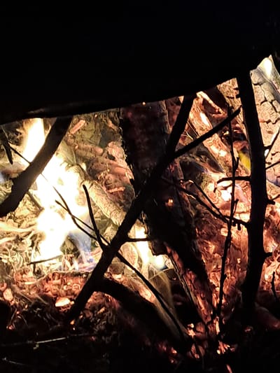 The image presents a close-up, vivid depiction of a fire, likely a campfire, burning intensely in the dark. The scene is dominated by bright, flickering flames and glowing embers in shades of orange, red, and yellow. Various pieces of wood and branches are visible within the fire, some actively burning and others charred, contributing to the fuel.
Dark, silhouetted branches and larger woody elements crisscross the foreground and midground, partially obscuring and framing the vibrant flames. These branches appear to be either part of the burning structure or surrounding vegetation, creating a sense of depth and enclosure around the fiery core. The stark contrast between the bright fire and the deep black background strongly indicates that the photograph was taken at night.
No people, identifiable structures, or specific weather conditions are discernible within the image. The general impression is one of warmth and light in an otherwise dark, natural setting. Based on the provided context, the location of this fire is Polianki, Russia. There is no visible text in the media file.