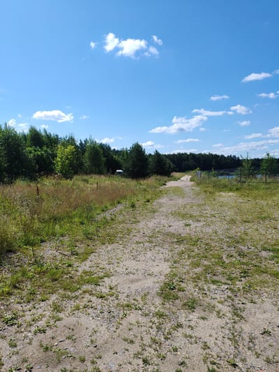 The image depicts a sandy path leading into a forest. The path is lined with grass and small plants. In the distance, there is a fence surrounding a body of water, likely a lake or pond, with trees on the other side. The sky is blue with scattered white clouds. The scene appears to be a natural setting, possibly a park or a recreational area in Sosnovyy Bor, Russia. There are no people or animals visible in the image.