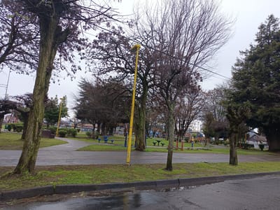 The image shows an outdoor park in Osorno, Chile, with a paved pathway winding through a grassy area. Several bare-branched trees are present, along with some evergreen trees. A bright yellow lamppost stands prominently in the foreground. In the background, there are benches, playground equipment, and buildings. The ground is wet, suggesting recent rain, with puddles visible on the asphalt in the foreground. The sky is overcast, contributing to a muted, cool-toned lighting.