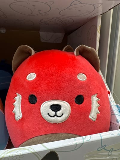 The image shows a close-up of a red plush toy resembling a red panda. The toy has black embroidered eyes and nose, and white accents around its eyes and cheeks. It is positioned inside a cardboard box with a pastel-colored pattern featuring cartoon animal faces. The background is blurred but suggests an indoor environment, possibly a retail store. The scene is devoid of any people or specific landmarks that would indicate a location in Keila, Estonia.