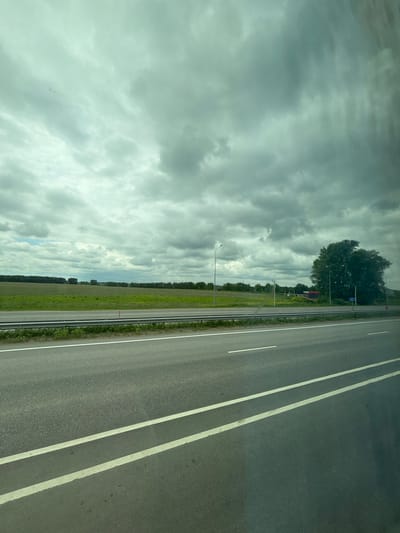 An overcast sky with heavy, gray clouds dominates the upper portion of the image. Below the sky, a wide, paved highway with white lane markings stretches into the distance. To the left of the highway is a strip of green grass and vegetation, followed by a large, flat field of green crops or grass. In the background, a line of trees marks the horizon. To the right of the field, a large, dense, dark green tree stands prominently. Near this tree, there is a small red structure and two streetlights. A blue road sign with the number "27" is visible near the large tree. The overall scene suggests a rural or semi-rural landscape, possibly along a highway in the vicinity of Sharipovo, Russia, given the context provided. There are no people or animals visible in the image. The photograph appears to have been taken from a moving vehicle, as indicated by the slight blur and reflections on the surface of the image.