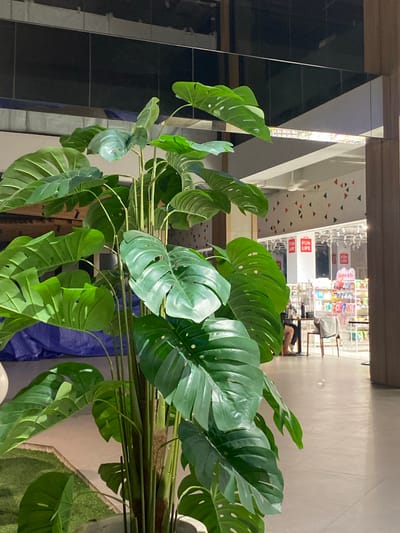 The image shows a large, artificial Monstera plant in the foreground, its broad, fenestrated leaves filling much of the frame. Behind the plant, an interior scene is visible, appearing to be a retail environment. Several white pillars with red and black triangular patterns are present on the wall and ceiling, suggesting a store with a distinct aesthetic. Some signage with the text "FUN LIFE" is visible on the pillars.
In the background, shelves stocked with various products are discernible, indicating a shop or market. There are a few people in the background, one person is seated at a counter, and another person is walking past the shelves. The lighting suggests it is daytime, likely indoors due to the consistent artificial illumination. The overall setting seems to be a commercial area, possibly a shopping mall or a large retail store. The presence of the artificial plant might be for decoration within the store.