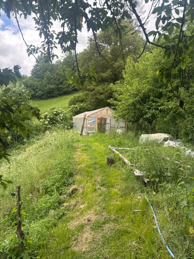 The image depicts an outdoor scene, likely a rural or semi-rural environment. The focal point is a small, makeshift greenhouse with a wooden frame and plastic sheeting. It is situated in a grassy area with overgrown vegetation, including tall grasses, wildflowers, and bushes. Trees and a sloping hill are visible in the background, suggesting a natural, uncultivated landscape. There are some discarded materials, including what appears to be a covered object (possibly a tarped vehicle or structure) and wooden planks, scattered in the foreground and around the greenhouse, indicating a less maintained or working area. A blue hose is visible snaking through the grass. The sky is cloudy, suggesting overcast weather. The scene does not contain any people or any specific elements that would indicate a precise location within the city of Arda, Bulgaria.