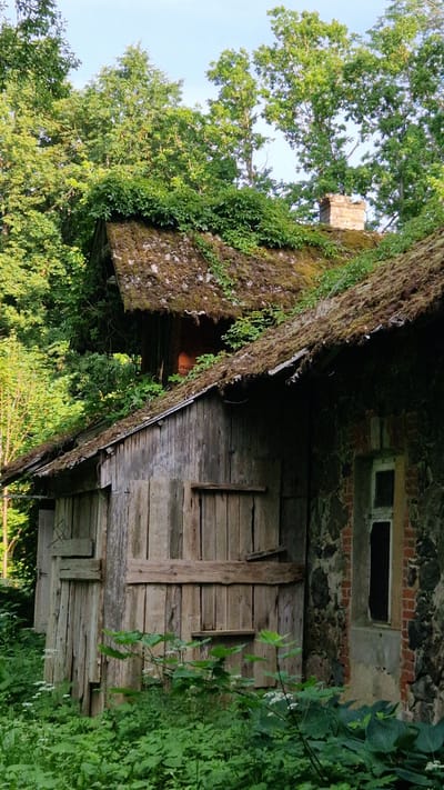 An abandoned, overgrown building stands amidst lush greenery, likely in the vicinity of Daudas, Latvia. The structure appears to be a two-part building, with one section appearing to be older stone and brick construction, and the other constructed of weathered wood. Both sections have moss-covered, dilapidated roofs, suggesting prolonged neglect. The stone section has a dark, empty window frame. The wooden section features vertical planks and horizontal bracing, with additional wooden elements suggesting an entrance or covering. Overgrown vines and foliage creep over the roofs and surround the base of the building, further emphasizing its abandoned state. Trees with full green canopies are visible behind and above the structure, indicating a natural, possibly rural or semi-rural, setting. The sky above is a pale blue with some clouds. No people or animals are present in the image.