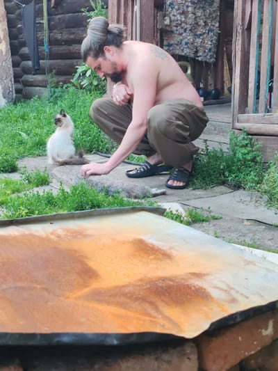 In an outdoor setting, likely a rural or backyard environment in the city of Kashino, Russia, a man with a bun hairstyle and a beard is crouched down. He is shirtless, wearing loose-fitting olive-colored pants and black slide sandals. The man is interacting with what appears to be a deceased animal, possibly a rodent, lying on a stone pathway. His hand is extended towards the animal. To the left of the man, a Siamese cat with cream-colored fur and dark points is sitting and observing the scene. The background consists of wooden structures, possibly a log cabin or shed, and overgrown green vegetation. In the foreground, a rusty metal surface, resting on bricks, partially obscures the view. The overall atmosphere suggests a candid, possibly domestic moment, set in a rustic environment.