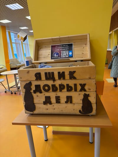 The image shows a wooden box with the inscription "ЯЩИК ДОБРЫХ ДЕЛ" (Box of Good Deeds) in Russian, with cat silhouettes attached. The box is likely located in Murmansk, Russia, as indicated by the QR code sign next to it for the charity "Путеводная Звезда", a charity fund based in Murmansk. The box is resting on a table with metal legs. The surrounding environment appears to be a public space, possibly a library or community center, with yellow walls and floors. The lighting is bright, and the scene is captured indoors. A person is seen standing in the upper portion of the image, and tables and chairs can be seen in the lower portion of the image.