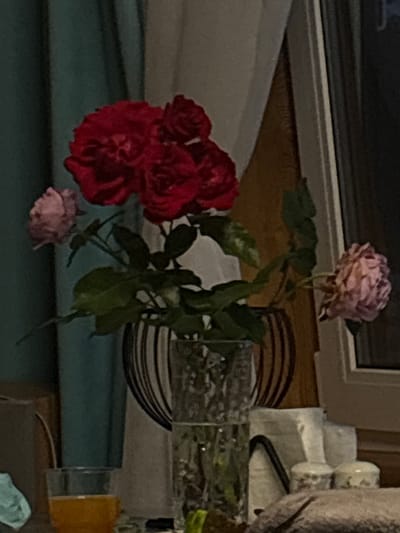 The image shows a dimly lit interior scene, likely a home in Klementyevo, Russia. In the foreground, a clear glass vase filled with water holds a bouquet of flowers. The bouquet consists of several vibrant red roses clustered at the top and two lighter pink roses, one on the left and one on the right, appearing slightly wilted. The vase is placed on a surface next to a clear glass containing an orange beverage. Behind the vase, a decorative dark metal holder with a striped pattern encloses the base of the flowers. In the background, a teal curtain hangs to the left, and a window with a white frame and dark panes is visible to the right. A stack of white tissue boxes and two small decorative ceramic containers are also present on the right side of the frame, next to the window. The overall lighting suggests it is nighttime or the room is dimly lit. There are no people visible in the image.