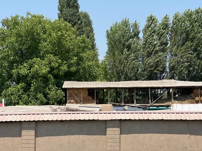 In the city of Karamanas, Uzbekistan, a rural scene unfolds under a clear blue sky. In the foreground, a textured, light brown wall with vertical rectangular protrusions forms a barrier. Above this wall, a corrugated metal roof, colored a faded pinkish-red, extends horizontally. Behind the wall and roof, a structure with a similar corrugated metal roof rests on wooden supports. This open-sided shelter houses several large bales of straw and hay. The backdrop is dominated by a dense canopy of lush green trees, interspersed with the trunks of taller, darker trees. The overall impression is one of a working farm or agricultural area.