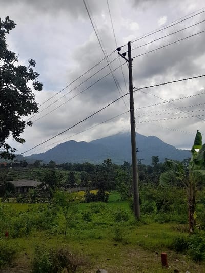 The image displays a serene, rural landscape with a mountainous backdrop, characteristic of areas like Kecamatan Prigen, Indonesia. A prominent wooden utility pole with multiple power lines runs diagonally across the left side of the frame, from the lower-left to the upper-right. The sky is largely overcast, filled with soft grey and white clouds.
Beyond the power lines, the midground is dominated by lush green vegetation, comprising dense trees and what appear to be cultivated fields, possibly terraced, with varying shades of green indicating different plant types. In the distance, majestic mountains rise, their rugged profiles visible against the cloudy sky, suggesting a significant elevation.
Scattered within the greenery of the midground, several modest structures or houses can be observed, indicating human habitation amidst the natural environment. To the far right, a strip of ground, possibly a dirt path or unpaved road, is visible, along with a small, reddish-brown marker or post.
The scene depicts a peaceful daytime setting, with no specific human activity taking place. The weather appears to be cloudy or partly cloudy. There is no visible text in the image.