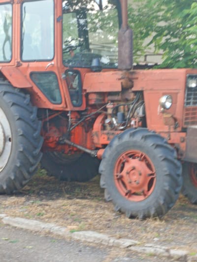The image displays an orange-red tractor parked outdoors in Roza, Bulgaria. The tractor, an older model showing signs of wear, dominates the frame. It features a cab with multiple windows, and a rusty, upright exhaust pipe is visible near the engine compartment. Large, heavily-treaded tires are prominent, including the rear left and front right wheels. Mechanical elements such as drive shafts, hydraulic lines, and other engine components are visible beneath the chassis and hood. A single round headlight is present on the front right side.

The tractor is stationary, resting on a patch of dry, light brown grass and weeds. Immediately next to this natural ground cover is a concrete curb, bordering a dark, paved surface, possibly a road or pathway. Green trees and foliage are visible in the blurred background, suggesting an outdoor, possibly rural or semi-rural setting. The lighting indicates it is daytime. There is no apparent activity taking place. Faint, indistinct text, potentially Cyrillic, can be seen on the side of the engine block below the exhaust pipe, but it is too blurry to be read clearly.