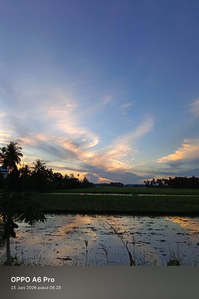 The image shows a sunset over a rural landscape, likely a rice paddy field, in Blangkutacoh, Indonesia. The sky is a vibrant mix of blue, orange, and pink hues, with wispy clouds stretching across the horizon. Silhouetted palm trees and other vegetation line the left side of the frame, casting long shadows. The water in the foreground reflects the colorful sky, creating a mirror-like effect. The overall scene is peaceful and serene, capturing the beauty of a tropical sunset. The text overlay at the bottom of the image indicates that it was taken with an OPPO A6 Pro on June 23, 2026, at 6:23 AM.