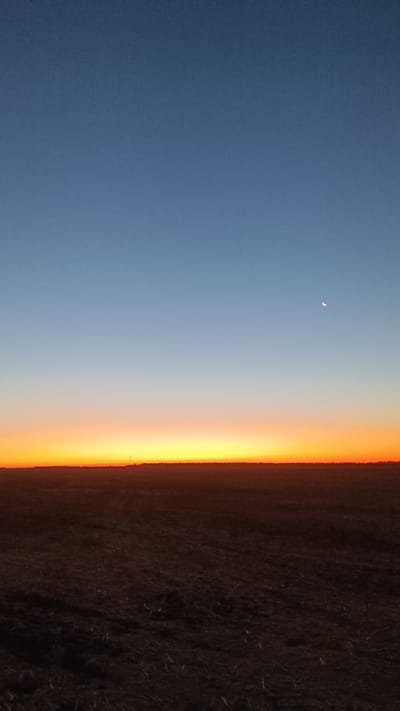 This image depicts a vast, open field in Martynivs'ke, Ukraine, at either dawn or dusk. The sky transitions from a deep, clear blue at the top to a band of vibrant orange and yellow near the horizon, indicating the sun is low. A crescent moon is visible in the upper right quadrant of the sky. The ground is a dark, plowed field, with some stubble or dried vegetation visible, suggesting agricultural activity. In the far distance, along the horizon, are faint silhouettes of what appear to be trees or man-made structures, possibly a small settlement or communication towers. There are no people or animals clearly visible in the image. The overall impression is one of a serene, rural landscape under a dramatic sky.