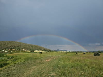 A wide, green field occupies the foreground and midground of the image. A dirt path runs through the field, leading towards a tree-covered hill in the middle left of the frame. In the background, beyond the hill, are distant mountains. Above the landscape is a dark, stormy sky featuring a vibrant rainbow. The presence of the rainbow indicates there has been or is ongoing rain. Based on the landscape and available information, the location is likely a rural area near Nikolaevo, Bulgaria. The lack of specific landmarks or city-related features makes pinpointing the precise spot challenging without more context.