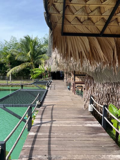 The image depicts a tropical outdoor setting with a focus on a wooden boardwalk. The boardwalk is constructed from weathered, light-brown wooden planks, laid parallel to each other, and appears to be elevated above a body of turquoise water. A rope railing with white accents runs along the edge of the boardwalk, supported by dark posts. The water below the boardwalk is a vibrant green and shows subtle ripples, indicating it is calm.
To the left of the boardwalk, there is a structure with a roof made of dried palm fronds, a characteristic of tropical architecture. The palm fronds are layered and create a textured, thatched appearance. Beneath the palm roof, a dark metal frame is visible, and glimpses of what appear to be bamboo or rattan woven panels can be seen. Further along the boardwalk, tables and chairs are visible under the shelter, suggesting an outdoor dining or seating area.
Beyond the structures and boardwalk, lush green tropical foliage is abundant. Palm trees with their characteristic fronds are prominent, along with other leafy plants. The sky above is a clear, bright blue, suggesting a sunny day. The lighting indicates it is daytime, with shadows cast by the railing and the overhead structure onto the boardwalk. The overall scene evokes a sense of a tranquil, resort-like environment in a tropical location. The image is oriented vertically.