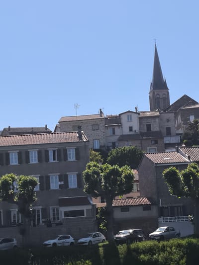 The image captures a section of Saint-Pierre-de-Bœuf, France. A low-angle shot reveals a variety of buildings, including residences and a prominent church steeple against a clear blue sky. The architecture is mixed, with some structures featuring red-tiled roofs and light-colored stone facades. Windows with dark shutters are visible. The steeple of the church is a dark color. Trees with rounded canopies are planted along the street, partially obscuring the lower portions of the buildings. Parked cars line the street in front of the buildings. Vegetation is visible in the foreground. The buildings ascend a slight hill. The word "HAPPY" can be seen painted on a wall.