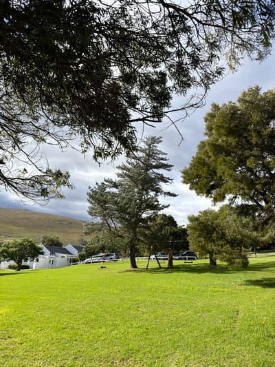 The image shows a grassy lawn with trees lining its edge in Overstrand Local Municipality, South Africa. A white building is visible behind the trees on the lawn's edge. A slope or hill rises in the background. The sky is cloudy, and some vehicles are parked near the trees. A portion of a tree is in the foreground.