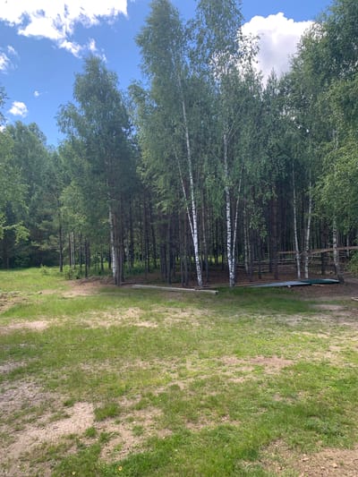 This is a photograph of a sunlit clearing in a forest, likely located in Vodoratsk, Russia. A dense line of birch and pine trees forms the backdrop, with some of the birch trees featuring their characteristic white bark. The ground in the foreground is a mixture of sparse grass and sandy soil, suggesting it might be an area undergoing some development or simply a less maintained part of a natural landscape. In the background, a rudimentary wooden structure, possibly a fence or part of a construction, is visible among the trees. The sky above is a clear blue, dotted with fluffy white clouds. There are no people or animals present in the image. The scene evokes a sense of quiet and natural beauty, characteristic of a rural or forested environment.
