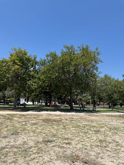 The image depicts a sunny day in a park-like area, likely in Asprovalta, Greece. In the foreground, there is a dry, sandy ground with sparse patches of grass and some scattered leaves. Beyond this, a well-maintained green lawn stretches out, dotted with several large, leafy trees that provide ample shade. In the middle ground, people are seen relaxing on the grass, some lying down, others sitting, enjoying the pleasant weather. There are benches scattered throughout the area, one of which is a prominent red bench. A bicycle is parked near the benches. Further in the background, there are glimpses of buildings and more trees, suggesting the park is situated within or adjacent to a more urban or developed area. The sky is a clear, vibrant blue, indicating good weather conditions.