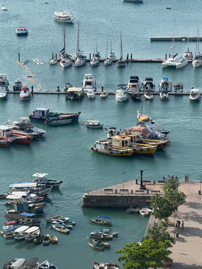 A marina filled with various boats is seen from above. Many white yachts and sailboats are docked along a pier. Two large yellow and black vessels are clustered together. A stone harbor wall runs parallel to the boats. Small rowboats are clustered near the harbor wall. Trees line the harbor with people walking along the paved path. The water is calm and turquoise.