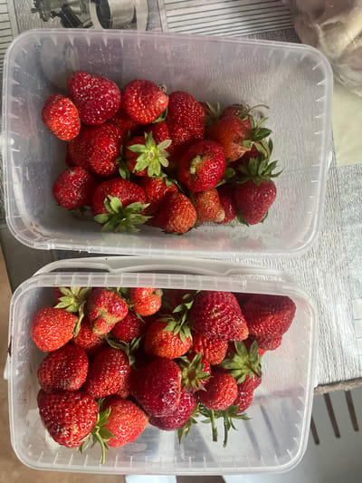 This media file shows two transparent plastic containers filled with fresh strawberries, placed on a light-colored surface, likely a table, with a textured pattern. The containers are positioned side-by-side, taking up most of the frame.
The strawberries themselves are a vibrant red, with some exhibiting lighter red or pinkish hues. Many have their green leafy tops intact. The overall appearance suggests they are recently picked or purchased. Some strawberries show minor imperfections or variations in shape, typical of fresh produce.
The lighting in the image appears to be natural, casting soft shadows, and the overall mood is bright and summery. The background is slightly out of focus but hints at a domestic or kitchen setting. There are no people visible in the image, and the activity taking place is simply the presentation of the strawberries in their containers. No text is visible in the media file. The setting is identified as Klepiki, Russia.