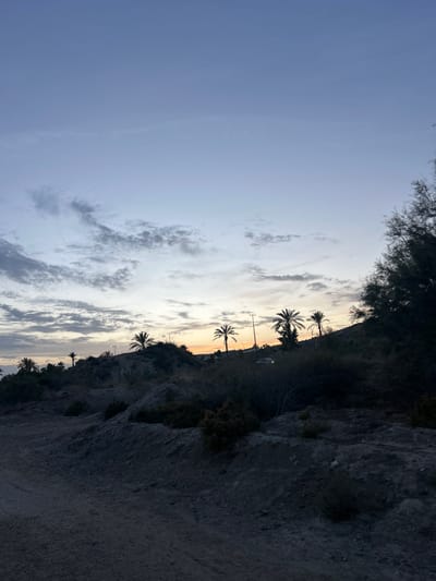 This is a vertical, outdoor, full-shot photograph of a coastal landscape in Playas de Vera, Spain. The image captures a dramatic cliff face on the right, covered in sparse vegetation and rough, rocky terrain. The cliff forms a stark contrast with the expansive sky on the left, which is filled with wispy clouds.
Silhouetted against the sky are several palm trees, their fronds suggesting a tropical or Mediterranean climate. The time of day appears to be late afternoon or early evening, indicated by the soft, diffused light and the warm, golden hues of the sunset peeking through the clouds on the horizon.
The scene is characterized by a sense of calm and natural beauty. The raw texture of the cliff, the gentle curves of the palm trees, and the soft textures of the clouds all contribute to a peaceful atmosphere. There are no people or specific objects visible that would suggest an ongoing activity, making the image more of a landscape study. The rocky cliff face is the most prominent visual element on the right, while the sky dominates the left two-thirds of the frame.