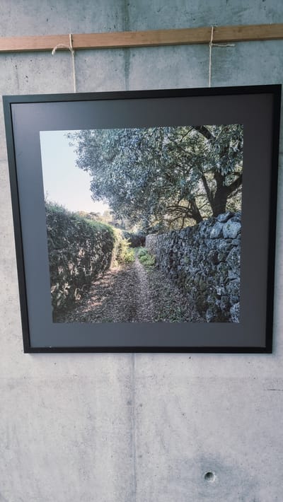 A framed photograph depicts a narrow dirt path lined by dry stone walls. On the left, a wall is covered in dense green foliage. On the right, the wall is constructed of rough, grey stones, with patches of moss and greenery growing on it. A large tree with sparse, grey-green leaves overhangs the path from the right side of the image. The path itself is covered in fallen leaves and debris. Sunlight filters through the leaves, casting shadows on the ground. The photograph is framed by a dark grey mat and a black frame. The framed photograph is hung on a rough concrete wall with visible vertical seams. A thin wooden slat is mounted horizontally above the photograph, from which it is suspended by a piece of twine. The location is the historic center of Olot, Spain, likely along an ancient pathway or rural road that has been preserved.