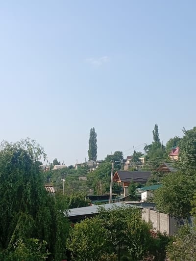 The image depicts a residential area in the city of Arashan, Kyrgyzstan, under a clear, pale blue sky with a small, wispy cloud visible in the upper center. The landscape is characterized by a hilly terrain, densely populated with houses and vegetation. In the foreground, a large, leafy tree with a cascading branch structure dominates the left side of the frame. Behind it, more trees and foliage are abundant, interspersed with various structures.

Several houses are visible throughout the scene, some with dark-tiled roofs and others with lighter colored roofing materials. One prominent house features a red-tiled roof and lighter colored walls. Another house has a dark, angular roof with a prominent chimney. Various outbuildings and sheds with corrugated metal roofs are also present. A grey concrete block fence with a darker vertical fence section runs across the lower right portion of the image, partially obscured by vegetation. Electrical wires and poles are visible, suggesting a developed utility infrastructure. The overall impression is of a rural or semi-rural residential neighborhood with significant greenery and a mix of architectural styles. No people are visible in the image.