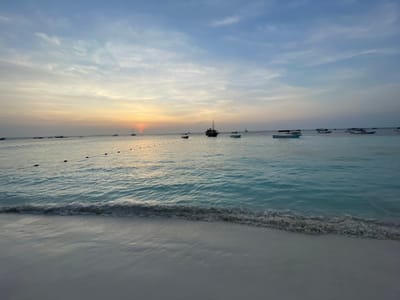 This image depicts a coastal scene in Nungwi, Tanzania, during what appears to be sunset. The sky transitions from a light blue with wispy clouds at the top to warm orange and yellow hues near the horizon, where the sun is partially visible, creating a bright orange glow.
The foreground consists of a light-colored sandy beach, with gentle waves breaking and receding, leaving a wet surface. The ocean water exhibits shades of turquoise and blue. A line of dark, circular buoys, strung together, extends horizontally across the mid-ground of the water, marking a boundary.
Numerous boats are present on the water. Towards the left-center, a prominent, dark-hulled, multi-decked vessel with a distinct mast structure is visible. Scattered across the water are at least ten other smaller boats, including several motorboats with canopies, some appearing blue, and others white or light-colored. A few distant vessels, including what appear to be sailboats, are silhouetted against the bright horizon. No people are discernible in the scene.