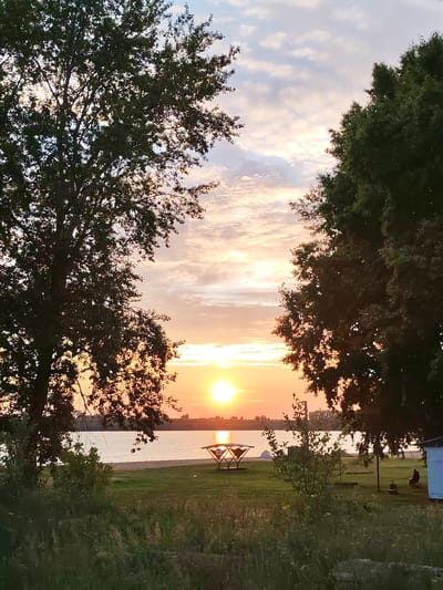 This image depicts a serene sunset over a body of water, possibly a lake or river, as viewed from a grassy area with trees. The sun, a bright orb of light, is low on the horizon, casting a warm glow across the sky and reflecting on the water. The sky is filled with a mix of clouds, some tinged with orange and pink hues from the setting sun. Two large trees frame the scene, one on the left and one on the right, their dark silhouettes contrasting with the lighter sky.
In the middle ground, a body of water stretches across the width of the image. The water appears calm, with subtle ripples on its surface. A sandy shore is visible along the edge of the water. On the shore, a small, white structure, possibly a changing room or a small building, is present. There are also a few scattered objects on the grass, including what appears to be a picnic table with a red and white roof, and some white tent-like structures. A single figure is seated near the white building, facing away from the camera.
The foreground is dominated by tall, dry grass and some green vegetation. The overall impression is one of tranquility and natural beauty, typical of a sunset scene in a rural or park-like setting. The location is identified as the city of Selivanovo, Russia, suggesting this scene is part of the natural landscape in or around this Russian city.