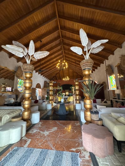 The image displays the interior of a room with a distinctive architectural style, featuring a vaulted wooden ceiling and exposed beams. A prominent decorative element consists of large, artificial white leaves emerging from woven baskets, with strings of golden spherical ornaments hanging below. These ornaments appear to be part of a chandelier or light fixture.
In the background, several seating areas are visible, including white sofas and individual white ottomans. A large, irregularly shaped, light pink upholstered object serves as a seat or table. The floor is a combination of dark, reflective material and reddish-orange marble with white veining. A patterned rug with a chevron design is placed on the floor.
Further in the background, there are more decorative elements, including what appears to be a stained-glass window with a figure depicted on it. The overall impression is of a stylish and eclectic interior design, possibly in a hotel lobby or a similarly public space. The lighting suggests it is daytime, though no windows or specific outdoor cues are visible. There are no people clearly discernible in the image. The scene is static, with no apparent activity taking place. The location context of Higüey, Dominican Republic, implies a warm climate.