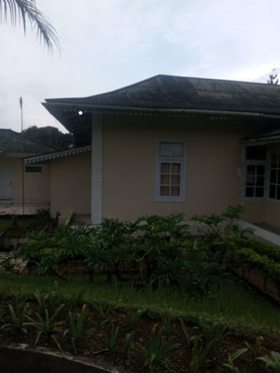 The image displays the exterior of a building and its surrounding garden in Nghĩa Đồng Commune, Vietnam, under an overcast sky. The primary subject is a single-story building with light beige-colored walls and a dark, possibly corrugated, hip roof that features a wide, decorative overhang. White trim lines the roof's edge, and white vertical decorative elements are present on the building's left corner and supporting the overhang. A central rectangular window, framed in white with multiple panes, shows an orange-brown curtain within; a smaller, higher transom window is directly above it. A portion of another multi-pane window is visible on the right. An exposed light fixture is mounted beneath the main roof overhang. To the left, a second building with a similar dark roof and lighter walls, possibly featuring a white door, is partially visible in the background, with a slender pole or antenna rising near it. The foreground consists of a cultivated garden bed containing neat rows of young, slender-leafed green plants in dark soil, transitioning to a patch of green grass, and then to a denser area of larger, broad-leafed green shrubs positioned against the main building's foundation. A large palm frond is partially visible in the upper left corner of the frame. Distant trees are visible above the background structure. No individuals, actions, or interactions are present in the scene.