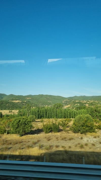 A vast, rolling landscape under a clear blue sky, with a strip of light blue sky across the top of the frame. The foreground is a shallow, sun-baked field dotted with dry grasses and low bushes. A dark, blurred shadow, likely from a moving vehicle, stretches across the lower part of the field, partially obscuring a metal guardrail. Behind the field, a dense line of tall, slender green trees stands out against the rolling, verdant hills that recede into the distance. Small clusters of buildings are faintly visible nestled within the hills. The overall scene depicts a rural, undeveloped environment.