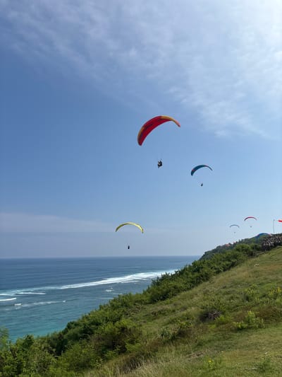 This image displays an outdoor scene over a coastal area in Benoa, Indonesia, under a clear blue sky with minimal white clouds. The left side of the lower frame features a blue ocean with visible white waves breaking, while the right side shows a steep, grassy cliff face covered in green vegetation, including shrubs and yellow flowering plants. Five paragliders are observed in flight across the sky. One red and yellow paraglider, carrying a single pilot, is in the upper left. A yellow paraglider, also with one pilot, is positioned lower in the mid-left. A blue and green paraglider, with a single pilot, is located in the mid-right. Two smaller paragliders, one red and one blue, each with a single pilot, are seen closer to the cliff's edge on the far right. Distant red-roofed buildings are visible on the cliff, and a stone wall with a red flag-like marker is present on the upper right edge of the cliff.