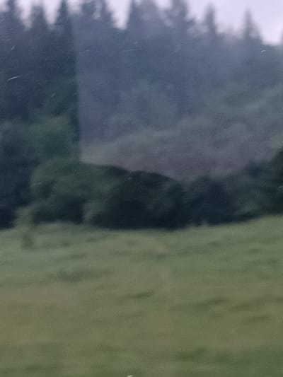 The image shows a blurry, low-resolution landscape scene. In the foreground, there is a grassy field with a light green hue. Behind the field, there is a dense line of dark green trees forming a forest. Further in the background, the landscape rises, suggesting hills or mountains covered in a darker, blurred forest. The sky appears overcast and light grey. There are no discernible people, subjects, objects, actions, or interactions present in the image. The image does not provide any specific details to locate it within the city of Brețcu, Romania.