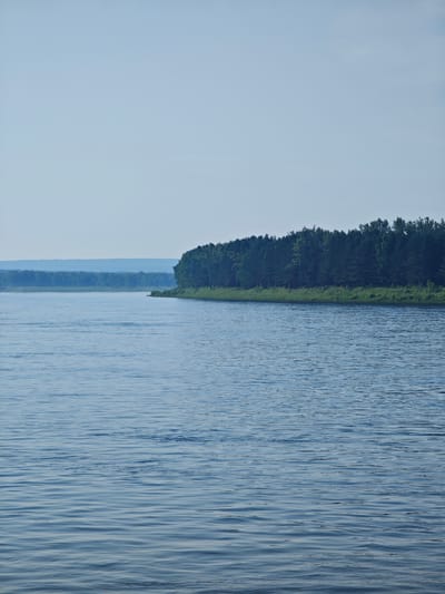 The image shows a wide river with a forest lining the far bank. The water is a deep blue and appears calm with gentle ripples. The forest is dense and green, with a mix of trees that stretch along the horizon. In the distance, hazy blue hills can be seen beyond the forest. The sky is a pale blue, clear and cloudless. The scene suggests a natural, serene environment. The location is identified as the river in the village of Piskunovk, Russia. There are no people, animals, or man-made structures visible in the image.