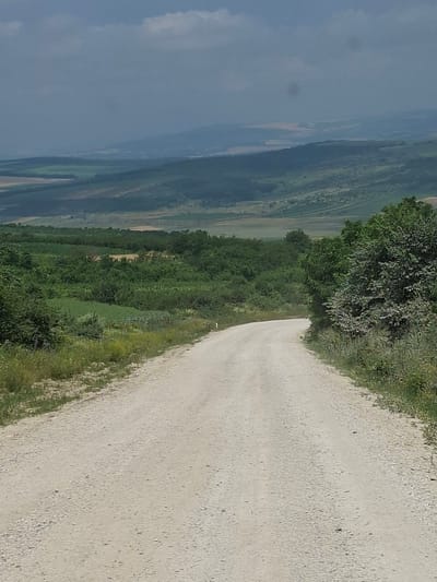 The image captures a view of a dirt road in Verejeni, Moldova, curving into the distance. The road is unpaved, with a light-colored, gravelly surface. On either side of the road, there are areas of grass and various green trees and shrubs. Beyond the immediate roadside vegetation, the landscape opens up into rolling hills covered with agricultural fields and patches of forest. In the far distance, the hills are shrouded in a hazy, muted light, suggesting a partly cloudy or overcast sky. The overall scene depicts a rural, natural environment. There are no people or animals visible in the image, and no specific structures or man-made objects are prominent in the landscape. The lighting suggests it is daytime.