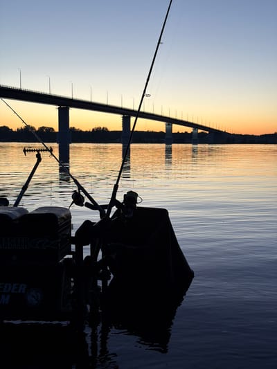 A fishing setup on the water at dusk, with a bridge in the background. The scene is set on the Kama River in the city of Kambarka, Russia. In the foreground, the silhouetted fishing gear includes a tackle box with "MASTER" and "FEEDER" visible on its side, and two fishing rods. The water is calm, reflecting the sky and the bridge's lights. The bridge spans across the river, its lights casting a glow. The sky transitions from a light blue at the top to warm orange and yellow hues near the horizon, indicating the setting sun. The overall impression is one of quiet anticipation, characteristic of an evening fishing session.