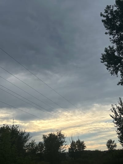 This is a landscape image captured outdoors, likely during the late afternoon or early evening. The dominant subjects are the sky and the natural environment. The sky is filled with a mix of dark, overcast clouds on the left side of the frame and brighter, striated clouds illuminated by sunlight on the right, suggesting a transition in weather or the setting sun.
Several power lines run diagonally across the image, from the lower left to the upper right, creating a linear element against the sky. Trees with dark green foliage frame the right side of the scene, obscuring parts of the horizon and adding depth. Some tree branches with leaves are also visible at the top of the image, extending into the frame from above.
The lighting indicates it is likely near sunset, with the sun casting a warm glow on the clouds on the right. The overall mood is somewhat dramatic due to the contrast between the dark and light clouds, and the linear intrusion of the power lines. There are no people or specific objects of note other than the power lines and trees. The location context of Заречный ауылдық округі, Kazakhstan, suggests a rural or semi-rural setting. No text is visible in the image.
