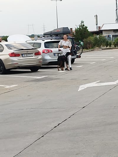 A woman with light brown hair, wearing a white crop top and white pants, is standing on a paved surface, holding the leash of a black and brown dog. The dog is leashed and stands beside her. Behind the woman is a silver station wagon with a bicycle rack mounted on the back, which has a bicycle attached to it. The station wagon also has a black roof box. To the left of the station wagon is a light-colored sedan. The scene appears to be a parking lot. The overall environment suggests an overcast day. There are power lines visible in the background, along with some trees and buildings. The image is taken from a slightly elevated perspective.