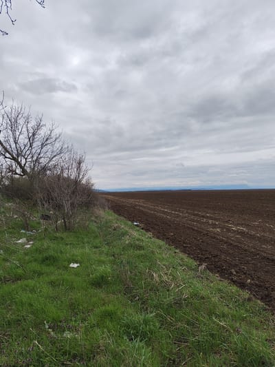 The image depicts a field in Borovan, Bulgaria on an overcast day. A plowed field of dark brown soil occupies the right side of the frame, extending to a distant horizon where a faint line of hills is visible. To the left, a strip of green grass borders the field, transitioning to a tangle of bare bushes and small trees. Scattered pieces of white trash are visible among the grass and bushes. The sky is filled with a dense layer of gray clouds, with tree branches visible in the upper left corner.